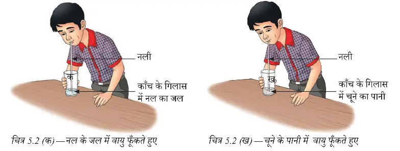 फूँक मारने से चूने के पानी में होने वाला परिवर्तन