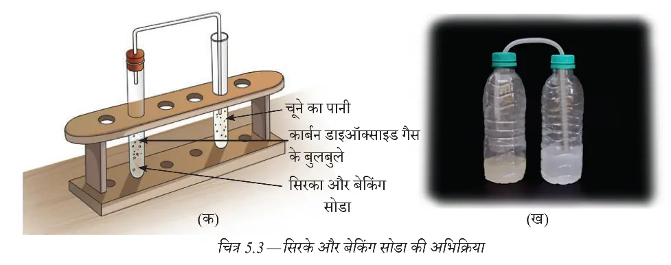 सिरका और बेकिंग सोडा की अभिक्रिया की प्रयोग व्यवस्था