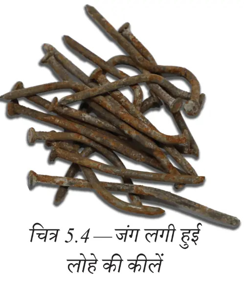 जंग लगी हुई लोहे की कीलें