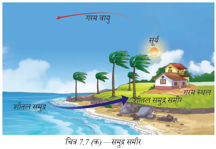 दिन में समुद्र से स्थल की ओर बहती ठंडी समुद्र समीर