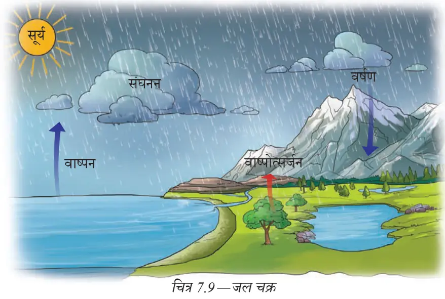 वाष्पीकरण, संघनन, वर्षा और जल संग्रह दर्शाता जल चक्र
