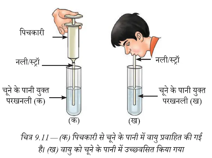 छोड़ी गई वायु में कार्बन डाइऑक्साइड जाँचने की प्रयोग व्यवस्था