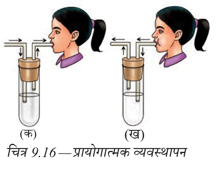 अंतःश्वसित और उच्छ्वसित वायु की तुलना करने का प्रयोग